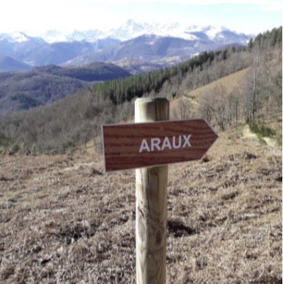 formation qgis proxigis personnalisée randonnée vtt circuits entretien couserans pyrennees montagne numérisation vectorisation elagage gestion mobilier poteaux